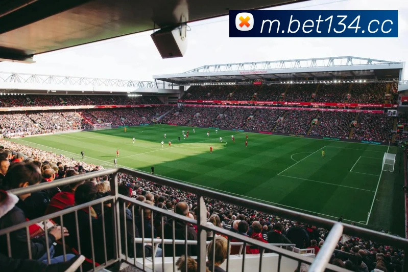bet365comAPP 封面图